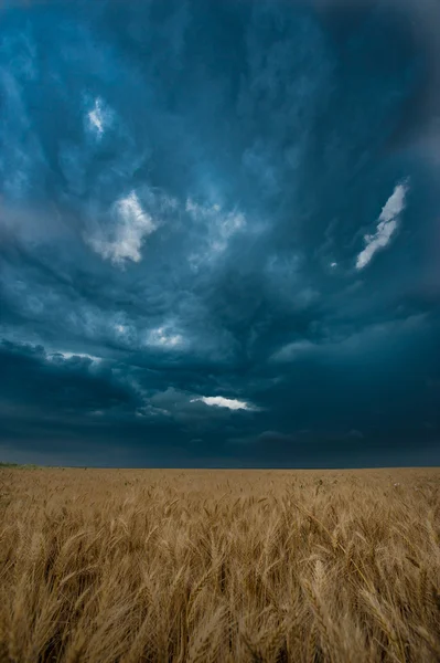 폭풍이 검은 구름이 — 스톡 사진