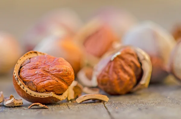 Hazelnoten close-up — Stockfoto