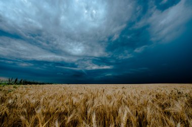 alanın üzerinde kara bulutlar fırtına