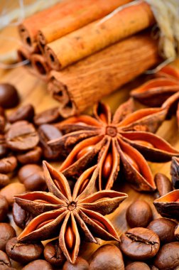 anason, tarçın ve kahve çekirdekleri