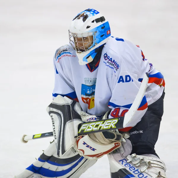 Giocatore di hockey — Foto Stock