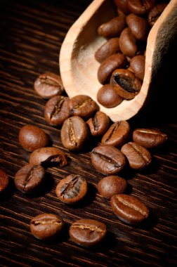 karanlık boşluk ve kahve çekirdekleri