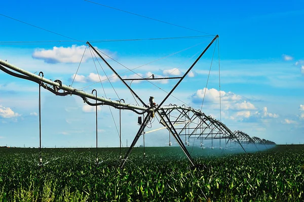 Irrigazione del raccolto utilizzando il sistema di irrigazione a perno centrale — Foto Stock