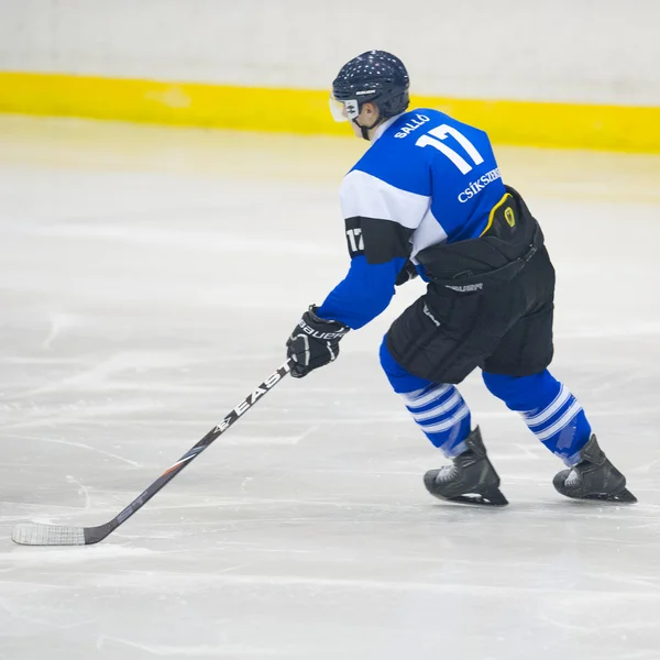 Giocatori di hockey — Foto Stock