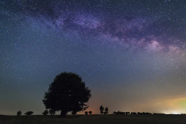Einsamer Baum in der Milchstraße in einer wolkenlosen Nacht — Stockfoto