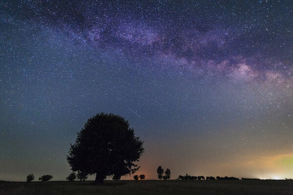Lonely tree in the Milky Way on a cloudless night