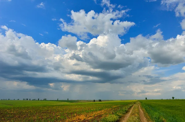 Grönt fält och blå himmel med ljusa moln — Stockfoto