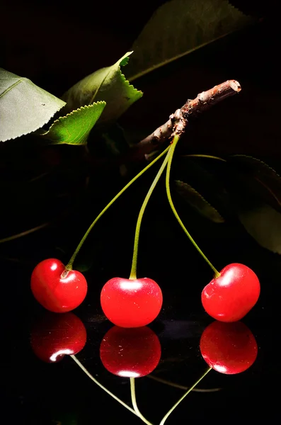 Cherry isolerad på svart bakgrund — Stockfoto