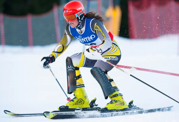 Niet-geïdentificeerde deelnemer van ski — Stockfoto