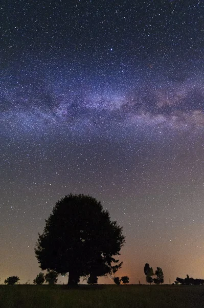 Árbol solitario en la Vía Láctea en una noche sin nubes — Foto de Stock