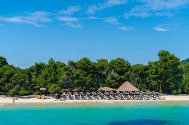 Koukounaries beach, doğal rezerv PIN, Yunanistan