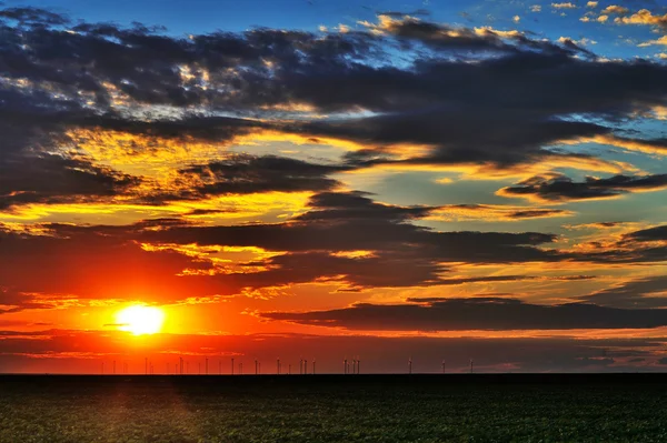 Parque eólico durante la puesta del sol — Foto de Stock