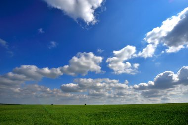 Yeşil tarla ve açık bulutlu mavi gökyüzü