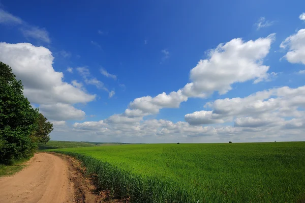 Grönt fält och blå himmel med ljusa moln — Stockfoto