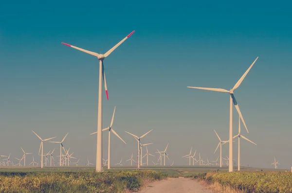 Зеленый луг с ветряными турбинами, генерирующими электричество — стоковое фото