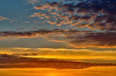Manzara, güneşli bir tarlada şafak