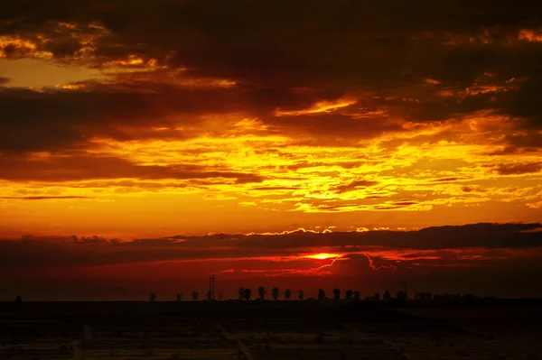 风景，田野里阳光灿烂的黎明 — 图库照片