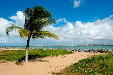 Aracaju - Sergipe