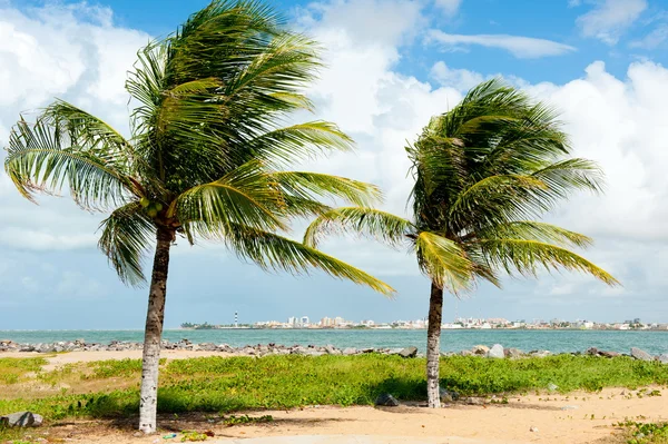 Aracaju - Sergipe — Stock Photo, Image