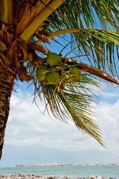 Aracaju - Sergipe — Stock Photo, Image