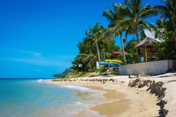 Tropical seashore — Stock Photo, Image