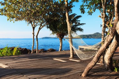 hamakta tropikal ağaçlar