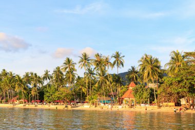 Kumsaldaki insanlar.