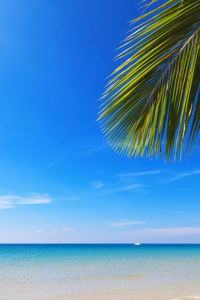 Tropical landscape — Stock Photo, Image