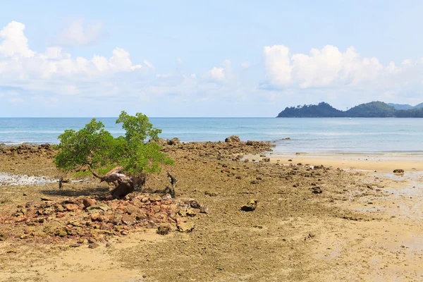 Beach on a sunny summer day — Stock Photo, Image