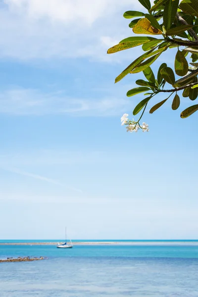 Paisagem tropical — Fotografia de Stock