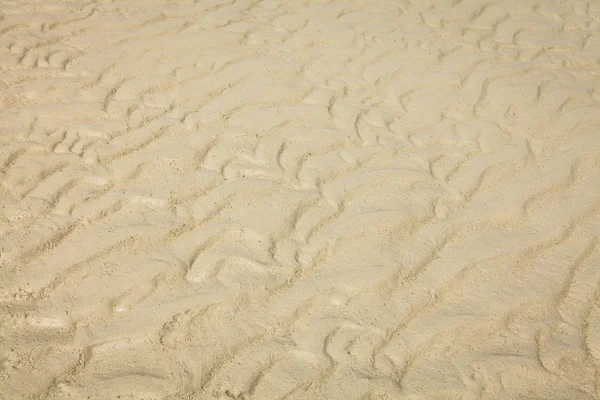 Modèle de sable d'une plage — Photo