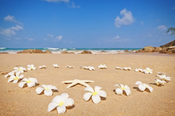 Сердце цветов на песчаном пляже — стоковое фото