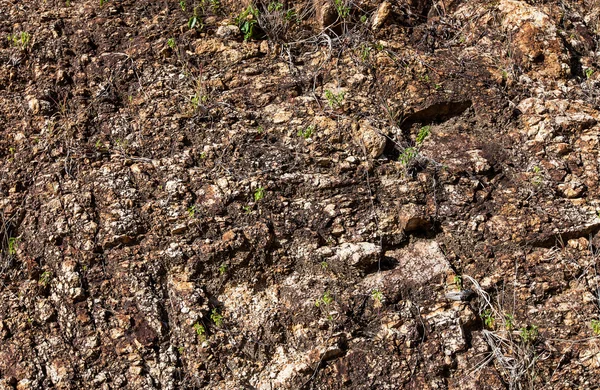 Ground texture — Stock Photo, Image