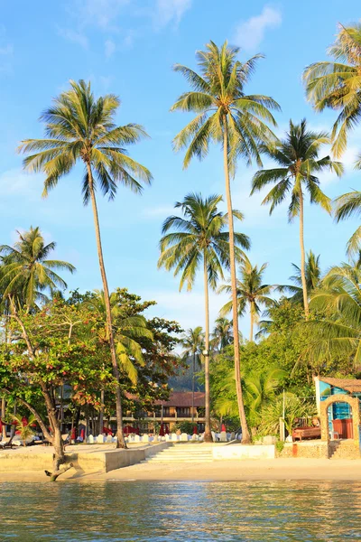 Gente en la playa —  Fotos de Stock