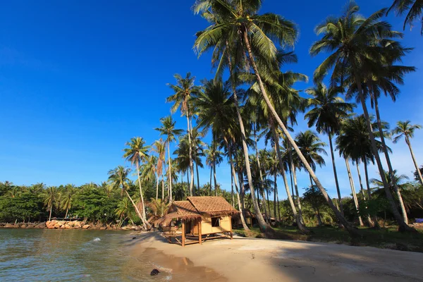 Reed hut on a sandy beach — Stock Photo, Image