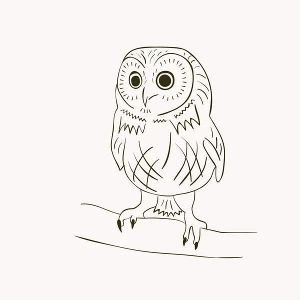 Cute owl — Stock Vector