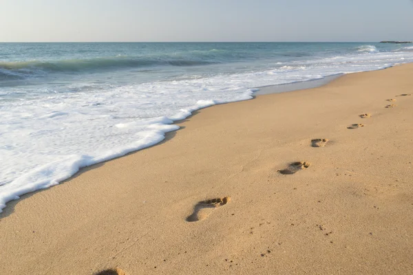 Fotspår på sandstranden Stockfoto