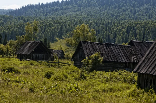 Old village in Siberia — Stock Photo, Image