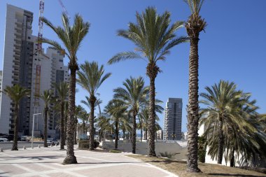 ashdod, İsrail in modern binalar