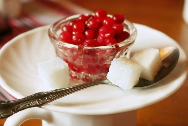 Tasty tea with cranberries — Stock Photo, Image