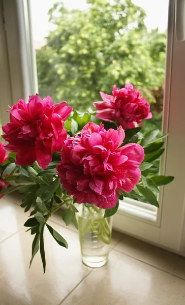 Peonies bouquet — Stock Photo, Image
