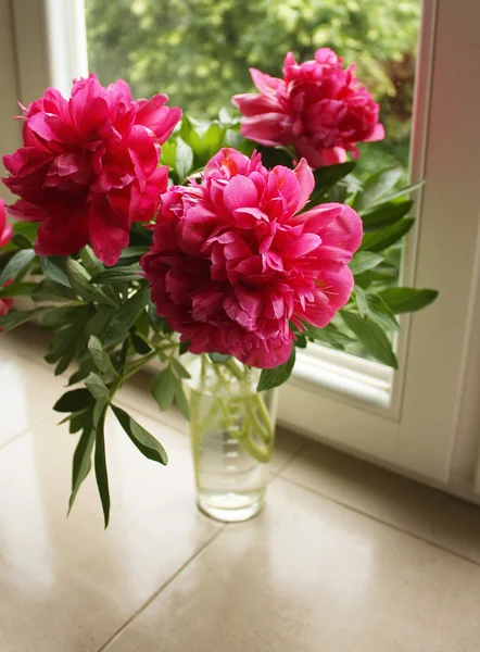 Peonie bouquet — Foto Stock