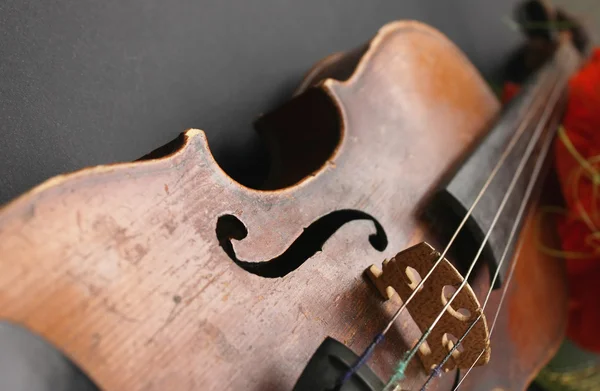아름 다운 바이올린 — 스톡 사진