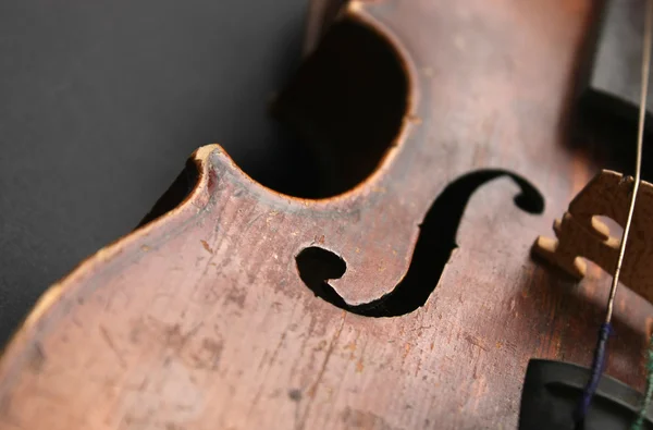 Bellissimo violino — Foto Stock