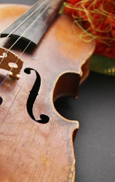 Bellissimo violino — Foto Stock