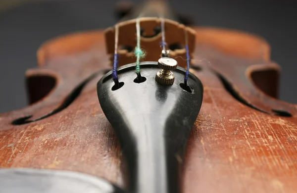Красиві скрипка — стокове фото
