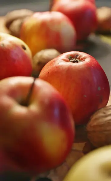 Herfst oogst — Stockfoto