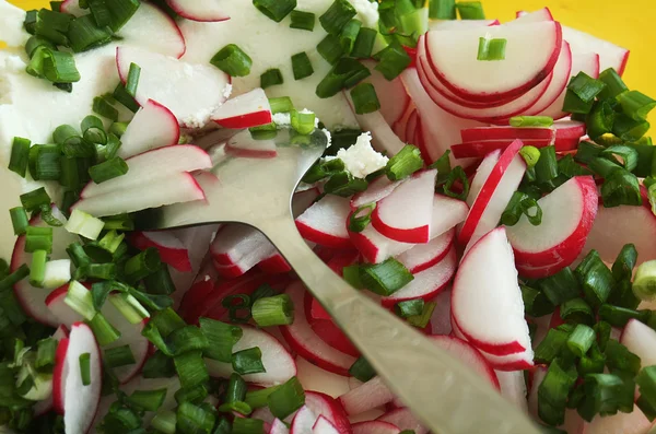 Deliciosa salada de primavera — Fotografia de Stock