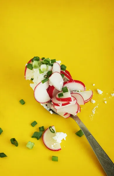 Deliciosa salada de primavera — Fotografia de Stock