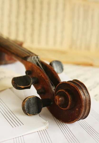 Hermoso violín — Foto de Stock